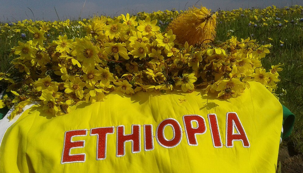 Arrangement pour le nouvel-an éthiopien avec des fleurs d'"adey abeba" Arrangement pour le nouvel-an éthiopien avec des fleurs d'"adey abeba" / ©Tewodros Kassa, CC BY-SA 4.0 Wikimedia Commons